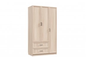 1210 Набор: Шкаф Распашной Рамочный Классика